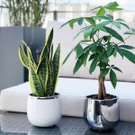 Keramični lonec Moon 08.104.15